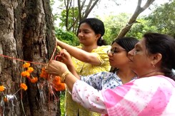 Jabalpur Residents Tie 'Rakhis' To Trees, Pledge To Protect The City's 'Lungs' Jabalpur Residents Tie 'Rakhis' To Trees, Pledge To Protect The City's 'Lungs'