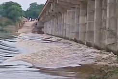 बारिश से टूटा Sheopur-Rajasthan का सड़क संपर्क | Breaking News | Sheopur बारिश से टूटा Sheopur-Rajasthan का सड़क संपर्क | Breaking News | Sheopur