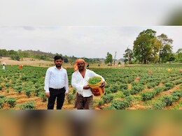 किसानों के लिए मुनाफे का नायाब तरीका ! जानें मिर्च की खेती से कैसे कमाएं लाखों ?