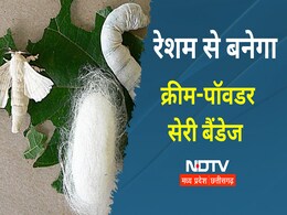 रेशम से समृद्धि योजना: MP में सिल्क से दवाईयां बनाने का काम शुरु, क्रीम-बैंडेज से लेकर ये बनेगा रेशम से समृद्धि योजना: MP में सिल्क से दवाईयां बनाने का काम शुरु, क्रीम-बैंडेज से लेकर ये बनेगा