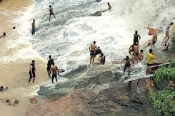 Maihar News: Selfie लेते वक्त झरने के तेज बहाव में बहे 3 युवक Maihar News: Selfie लेते वक्त झरने के तेज बहाव में बहे 3 युवक