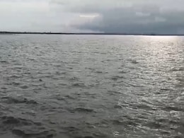 Rajasthan: धौलपुर में मंडरा रहा बाढ़ का संकट, लबालब भर गया पार्वती बांध; खोल दिए चार गेट