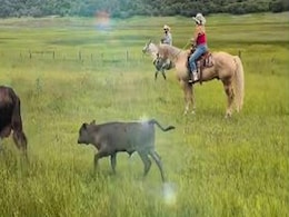 Kate Hudson On Her Countryside Life: "This Good Horse Came Home" Kate Hudson On Her Countryside Life: "This Good Horse Came Home"