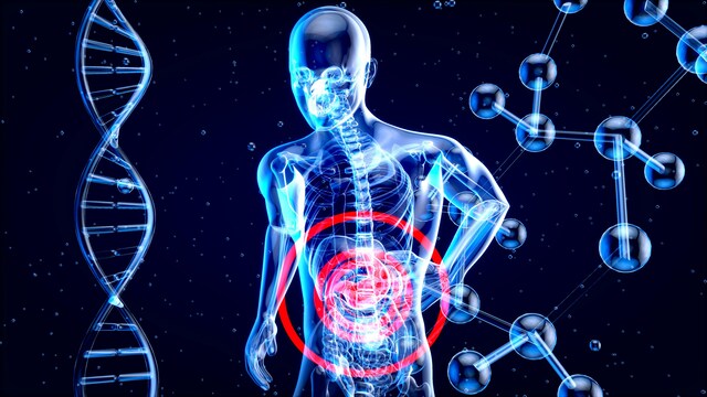 Signs And Symptoms Of Fatty Liver Disease