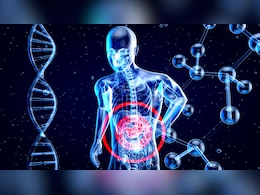 लीवर में जमा जिद्दी फैट को निकाल बाहर फेंकेगा यह लाल फल, रोज सुबह खाली पेट करें सेवन लीवर में जमा जिद्दी फैट को निकाल बाहर फेंकेगा यह लाल फल, रोज सुबह खाली पेट करें सेवन