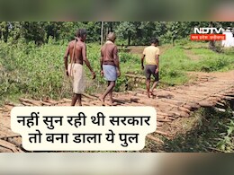 Desi Jugaad: ग्रामीणों के देसी जुगाड़ ने सरकार को दिखाया आईना, बना डाला लकड़ी से ईको पुल, होने लगी तारीफ