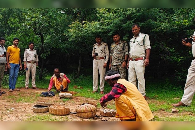 सपेरों के कैद से आजाद हुए कई सर्प. सपेरों के कैद से आजाद हुए कई सर्प.