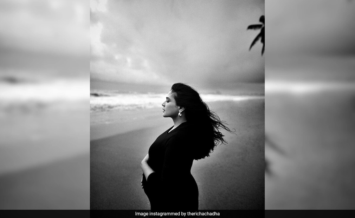 Richa Chadha Shares Pic From Maternity Photoshoot: "So Much Can Change"