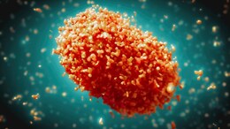 Mpox Case: Understanding The Challenges And Debunking Myths