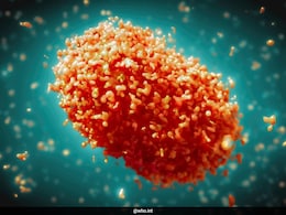 Mpox Case: Understanding The Challenges And Debunking Myths Mpox Case: Understanding The Challenges And Debunking Myths