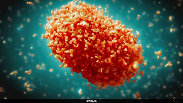 Mpox Case in India