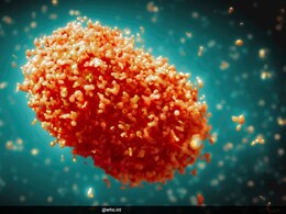 एमपॉक्स को लेकर बच्चों की जरूरतों को प्राथमिकता देना आवश्यक : यूनिसेफ एमपॉक्स को लेकर बच्चों की जरूरतों को प्राथमिकता देना आवश्यक : यूनिसेफ