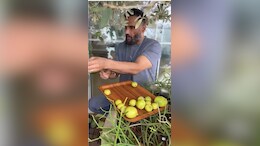 What Suneil Shetty Feels About His Homegrown Lemons As He Collects Them