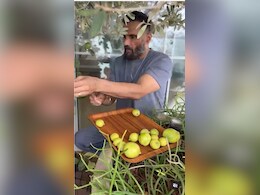 What Suneil Shetty Feels About His Homegrown Lemons As He Collects Them