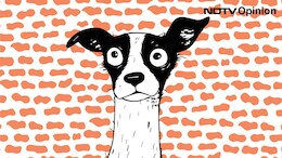 Blog | Why Do You Think Your Dog Needs You? Because You're Selfish