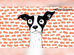 Blog | Why Do You Think Your Dog Needs You? Because You're Selfish