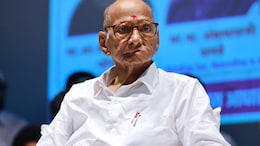 "Be It 84 Or 90, This Old Man Will Not Stop": Sharad Pawar