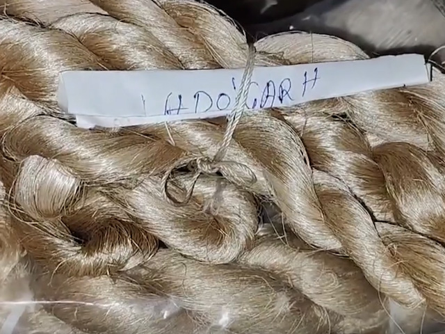 "Unraveling Assam's Ancient Treasure: Muga Silk, a 5,000-Year-Old Golden Thread of Rich Heritage"