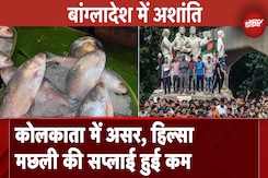Bangladesh Crisis: Kolkata पर पड़ रहा असर, हिल्सा मछली का आयात प्रभावित Bangladesh Crisis: Kolkata पर पड़ रहा असर, हिल्सा मछली का आयात प्रभावित