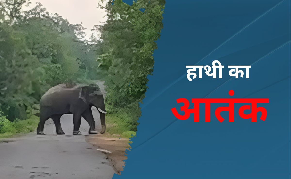छत्तीसगढ़ के 20 से ज्यादा गांवों में वन विभाग ने जारी किया हाई अलर्ट, जानें क्या है वजहें&nbsp;