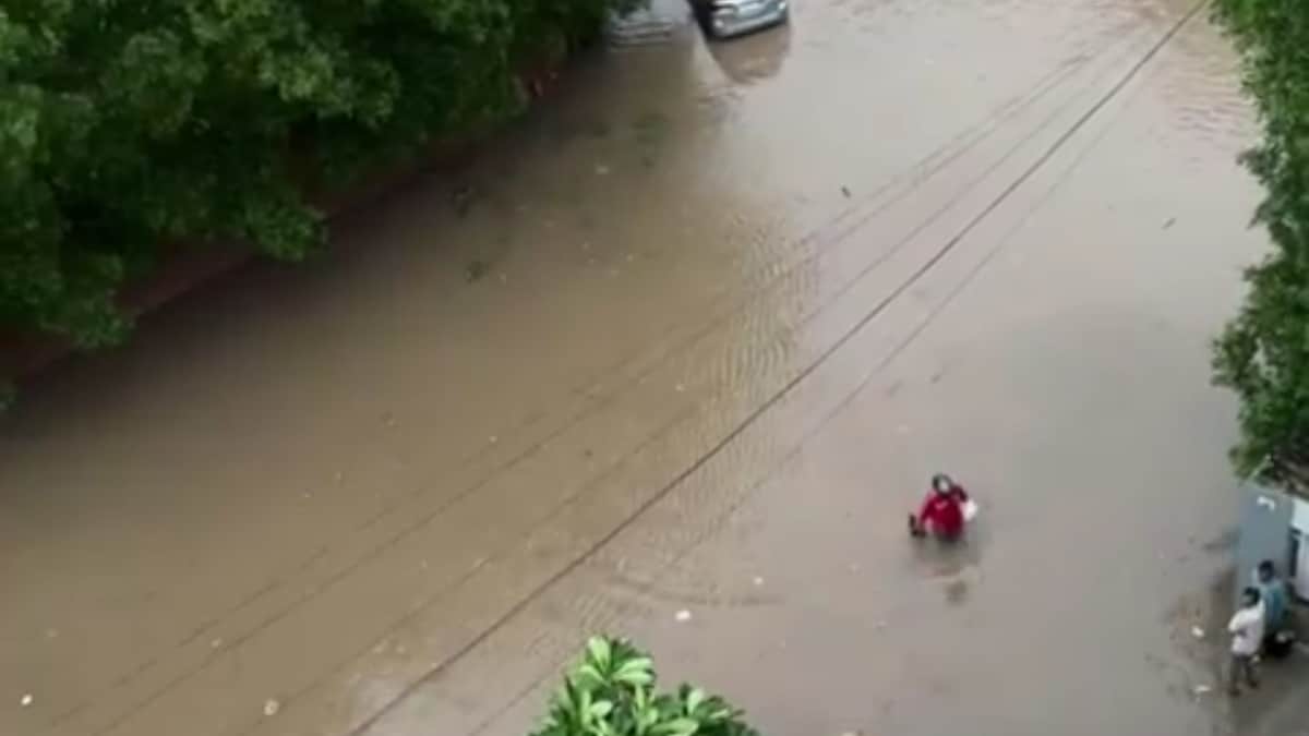 Watch: Zomato Agent Delivers Food Amid Heavy Rains, Company Responds