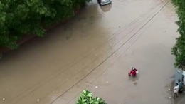 Watch: Zomato Agent Delivers Food Amid Heavy Rains, Company Responds