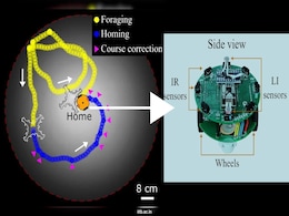 IIT Researchers Discover How Animals Find Their Way Home, Using Robots IIT Researchers Discover How Animals Find Their Way Home, Using Robots