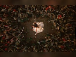 Chhaava Teaser Out : शिवरायांचा छावा, विकी कौशल साकारणार स्वराज्यरक्षक संभाजीराजेंची भूमिका Chhaava Teaser Out : शिवरायांचा छावा, विकी कौशल साकारणार स्वराज्यरक्षक संभाजीराजेंची भूमिका