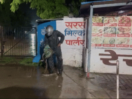 Snake Viral Video: कोटा के सरस डेयरी में 10 फीट लंबा अजगर देख लोग हैरान, डर के मारे दांतों से दबाने लगे उंगलियां