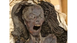 Bone-Chilling Secret Of Mummy's "Screaming" Face Unveiled By Scientists