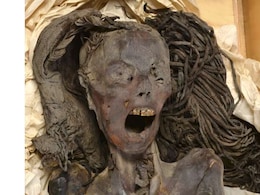 क्या है ममी के चीखते हुए चेहरे का रहस्य? वैज्ञानिकों ने किया चौंकाने वाला खुलासा, जानकर उड़े लोगों के होश क्या है ममी के चीखते हुए चेहरे का रहस्य? वैज्ञानिकों ने किया चौंकाने वाला खुलासा, जानकर उड़े लोगों के होश