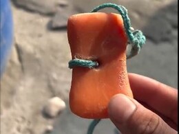 साबुन चोरी न हो जाए, इस डर से शख्स ने किया भयंकर जुगाड़, यूजर्स बोले- भारत में कुछ भी हो सकता है भाई, वायरल Video