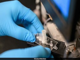 This Blood Test Accurately Detects Fatal Brain Cancers In 60 Minutes This Blood Test Accurately Detects Fatal Brain Cancers In 60 Minutes