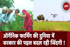 Gujarat: Organic Farming करने वाले किसानों ने किया दावा की दुनिया में सरकार की पहल से बदल रही जिंदगी Gujarat: Organic Farming करने वाले किसानों ने किया दावा की दुनिया में सरकार की पहल से बदल रही जिंदगी