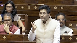 "20,000 Crore Losses": AAP's Raghav Chadha Wants Action Against Digital Piracy