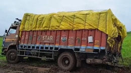 Rajasthan: नीलगिरी के पेड़ों की तस्करी कर के भाग रहे थे, कीचड़ में फंसा ट्रक; ग्रामीणों ने 4 तस्करों को दबोचा