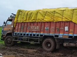 Rajasthan: नीलगिरी के पेड़ों की तस्करी कर के भाग रहे थे, कीचड़ में फंसा ट्रक; ग्रामीणों ने 4 तस्करों को दबोचा Rajasthan: नीलगिरी के पेड़ों की तस्करी कर के भाग रहे थे, कीचड़ में फंसा ट्रक; ग्रामीणों ने 4 तस्करों को दबोचा