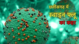 Swine Flu: बिलासपुर में स्वाइन फ्लू का कहर जारी, 94 मरीज मिले पॉजिटिव, दो की हुई मौत