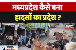Madhya Pradesh: आवारा मवेशियों के साथ ये है सड़क हादसों की बड़ी वजह। Bhopal। Latest Madhya Pradesh: आवारा मवेशियों के साथ ये है सड़क हादसों की बड़ी वजह। Bhopal। Latest
