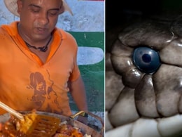 क्या आपने कभी खाए हैं ज़हरीले Black Cobra Momos, वीडियो देख सोशल मीडिया पर लोगों ने ली मौज क्या आपने कभी खाए हैं ज़हरीले Black Cobra Momos, वीडियो देख सोशल मीडिया पर लोगों ने ली मौज