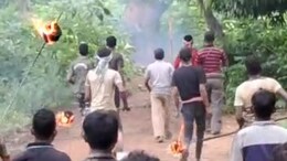 Villagers Try To Drive Away Elephant With Spiked Rods, Fireballs. It Dies