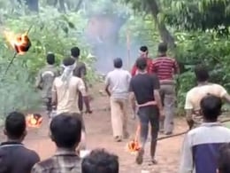 Villagers Try To Drive Away Elephant With Spiked Rods, Fireballs. It Dies Villagers Try To Drive Away Elephant With Spiked Rods, Fireballs. It Dies