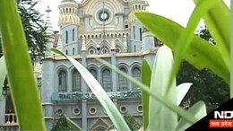 एमपी हाईकोर्ट ने चिकित्सकों के इस मामले पर दिया ये निर्देश, 24 घंटे के भीतर मांगा जवाब