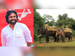 कर्नाटक से 'कुमकी हाथी' क्यों मांग रहे हैं आंध्र प्रदेश के डिप्टी सीएम? क्या हैं इसकी खासियत