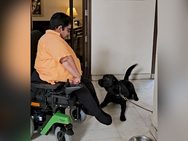 People With Disabilities And Lack Of Political Representation