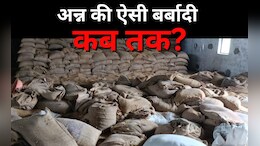 गरीबों को अधिकारियों की लापरवाही से आजादी कब? प्रदेश में 10.64 लाख टन गेहूं 'बर्बाद'