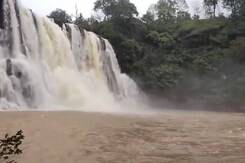 मानसून में और भी खूबसूरत हुआ रमदहा जलप्रपात, पर्यटकों की बना पहली पसंद