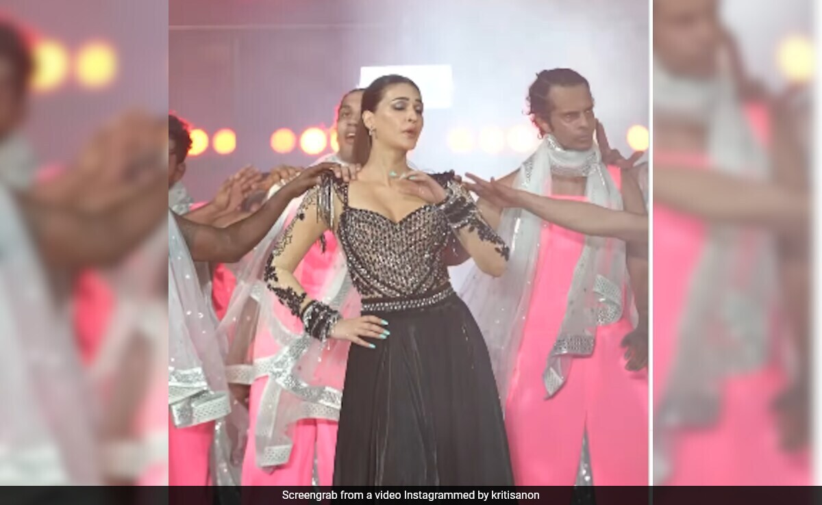 Kriti Sanon's Rumoured Boyfriend Kabir Bahia Dropped This Comment  On Her Dance Video