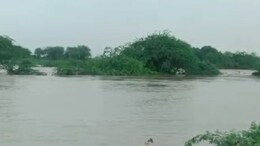 राजस्थान में बारिश बरपा रहा कहर, मौसम विभाग की नई भविष्यवाणी; जानें अपने जिले के मौसम का हाल