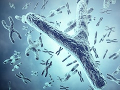 As Men age, They Lose The Y Chromosome — And It Matters More Than Thought